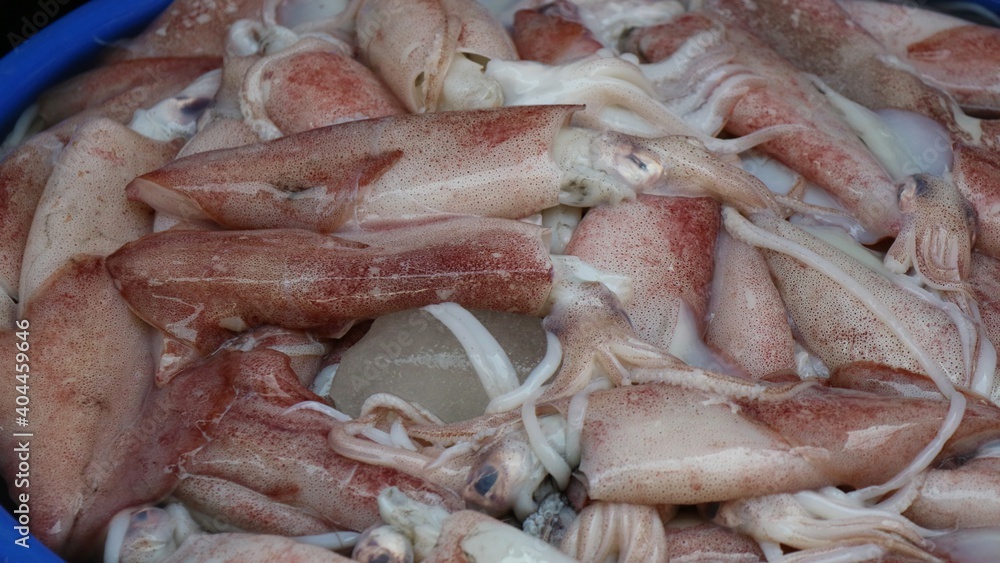 fresh raw squid at traditional asian market