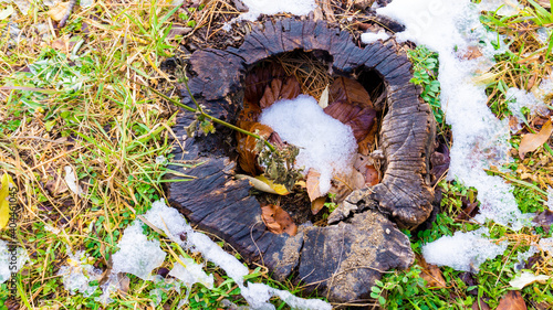 雪の残る公園の様子