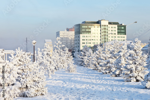Siberian city of Irkutsk on a frosty winter day. View from the park on the Lower Embankment of the Angara with white frosty trees to the building of the city savings bank. Winter cityscape
