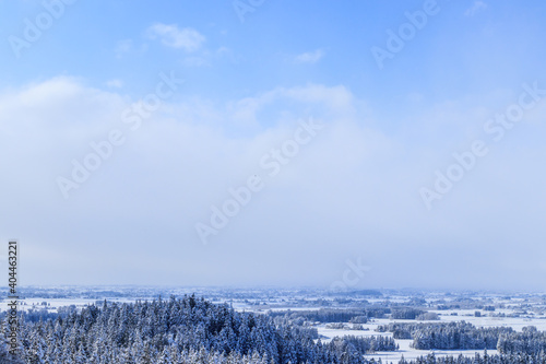 冬の森林 雪山 風景 秋田県 1月