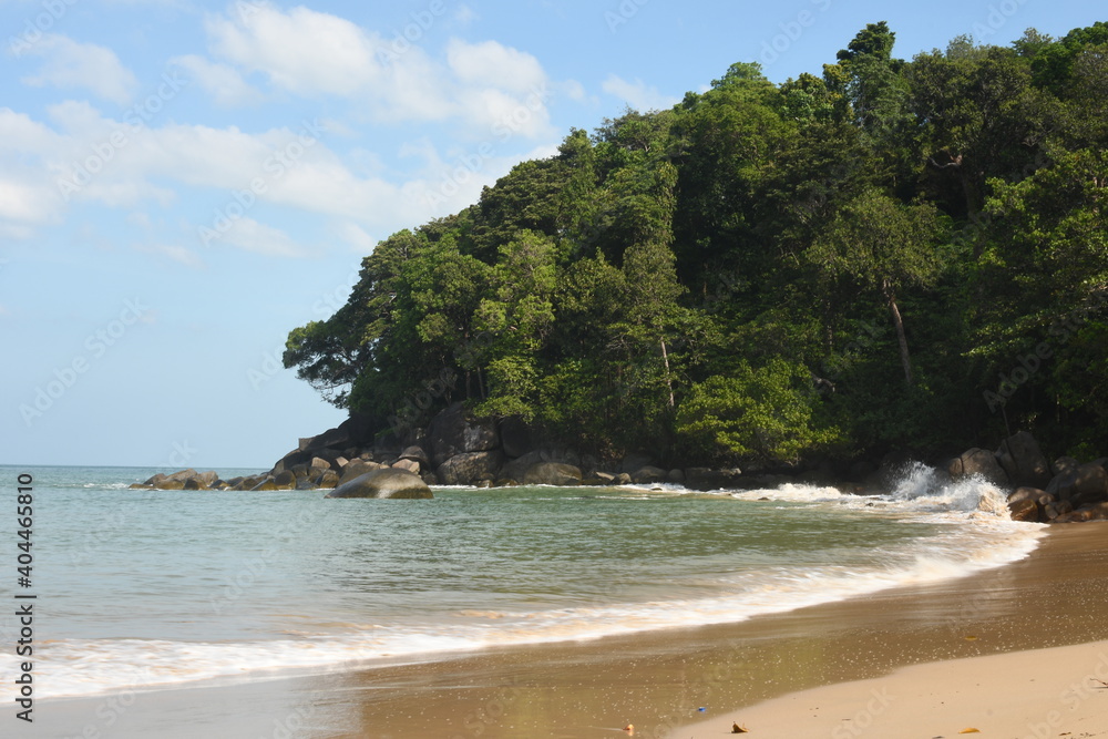 Obraz premium beach with forest coast in summer blue sky