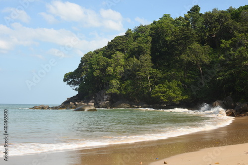 beach with forest coast in summer blue sky