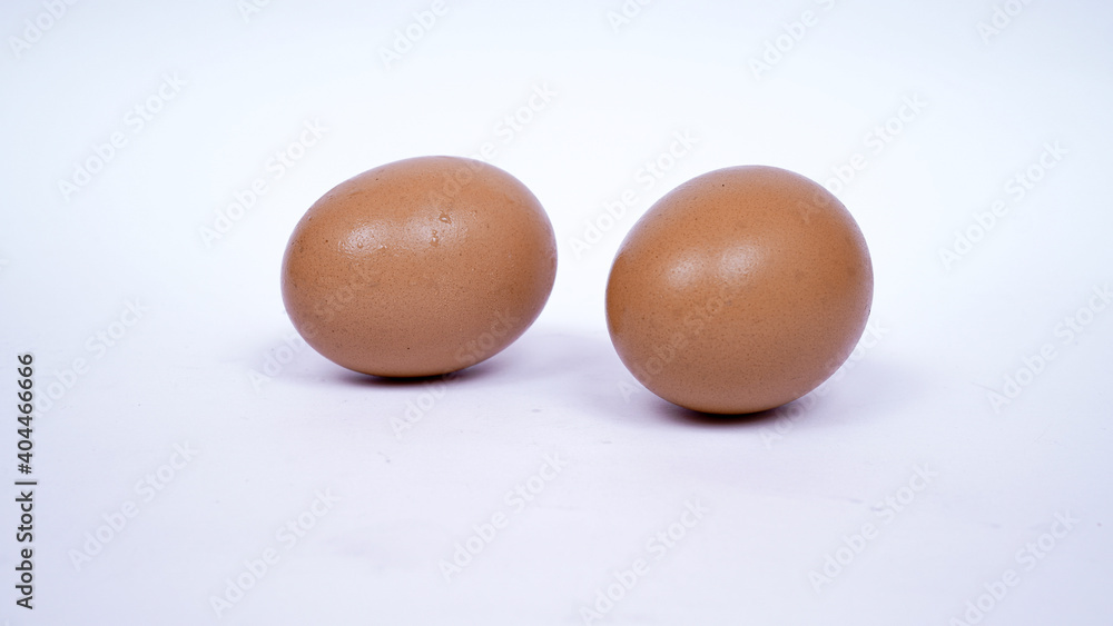 chicken egg isolated white background chicken egg isolated white background