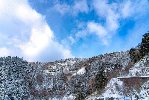 【長野県】ビーナスラインの冬景色