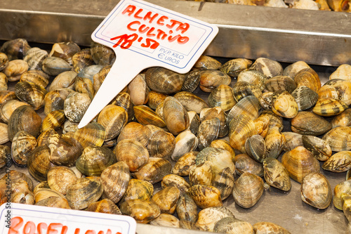 Venerupis corrugata, pullet carpet shell, Galician clam for sale with its price photo