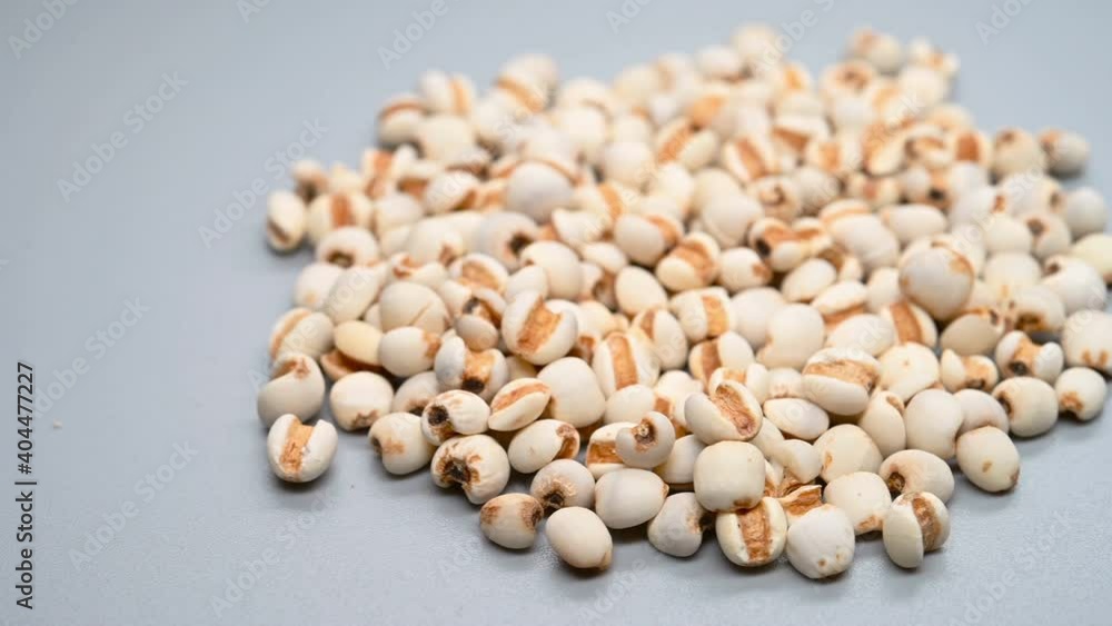 side angle pan view herb Yiyiren or Coicis Semen or Ma-yuen Jobstears Seed side angle pan view herb Yiyiren or Coicis Semen or Ma-yuen Jobstears Seed