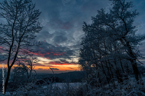 Wonderful winter landscape at sunset at northern Lake Constance photo