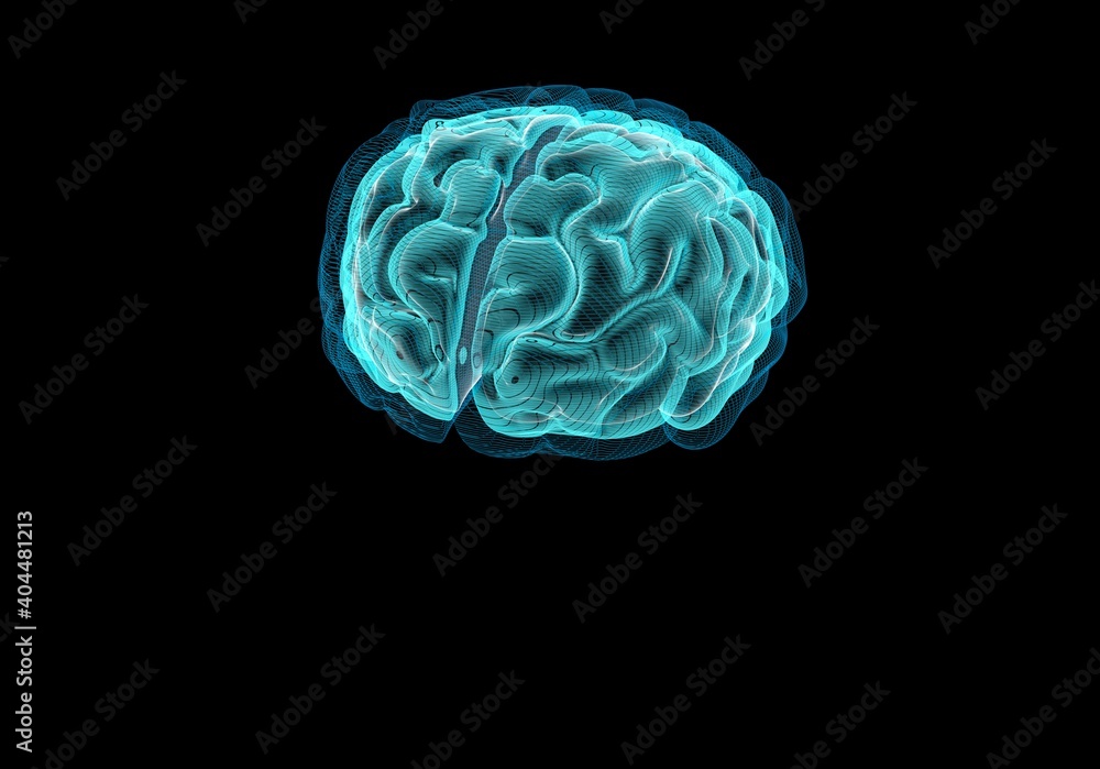 Brain hologram Brain hologram