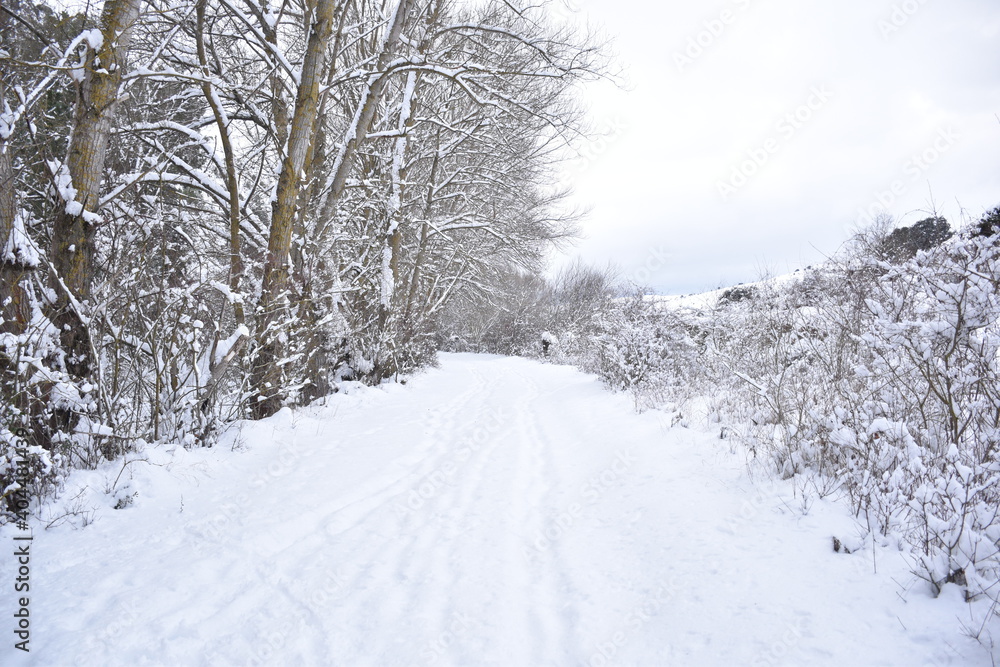 Country road with trees on your left and farm fields on your right covered by snow. Filomena snow storm as it passed through Spain, January 2021. Country road with trees on your left and farm fields on your right covered by snow. Filomena snow storm as it passed through Spain, January 2021.