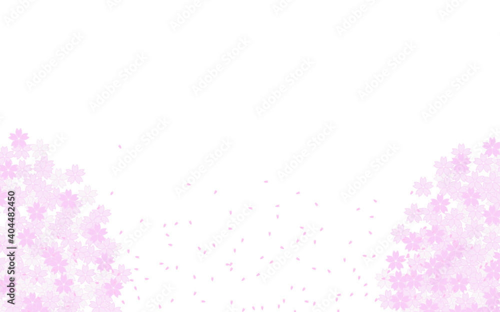 桜吹雪と満開の桜の背景素材