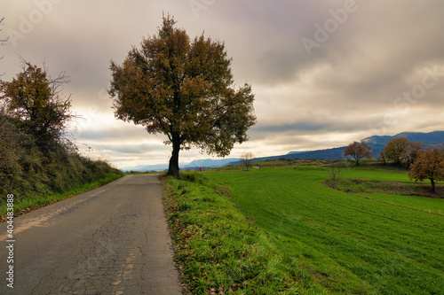 View of the path that leads to the sanctuary of Rocaprevera on a cloudy day in autumn. Torello, Catalonia, Spain