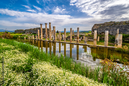 The Temple of Artemis in Magnesia on the Maeander, Turkey