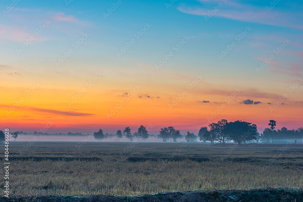 Rural landscape the fields at sunrise morning fog and beautiful sky