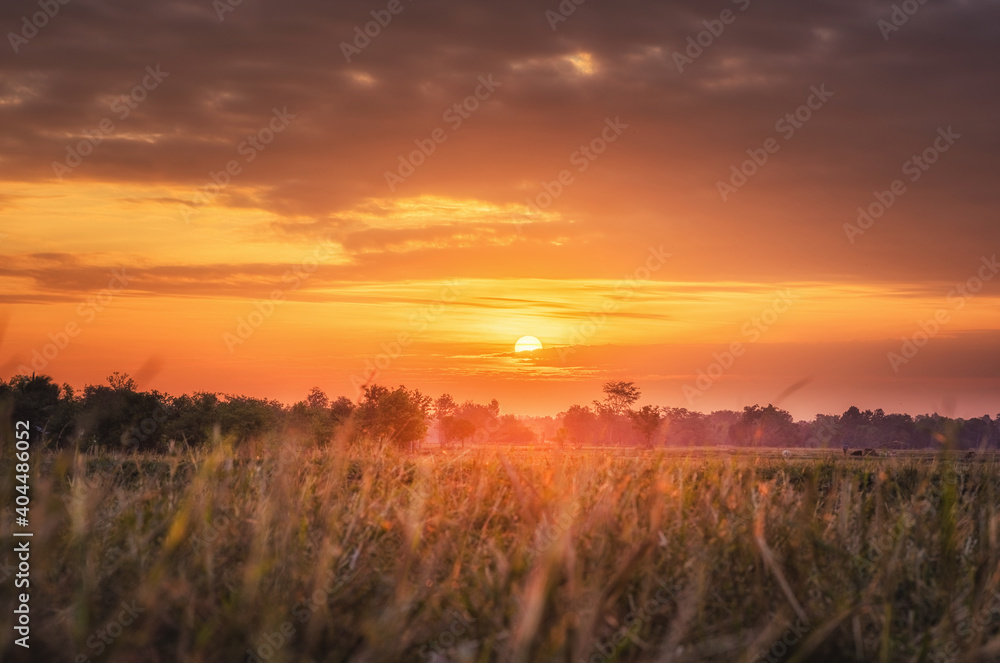 Rural landscape the fields at sunrise morning and beautiful sky Rural landscape the fields at sunrise morning and beautiful sky