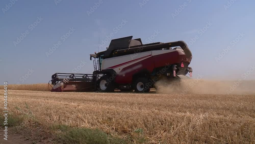 combine harvester harvests wheat in the field, harvesting combine harvester harvests wheat in the field, harvesting