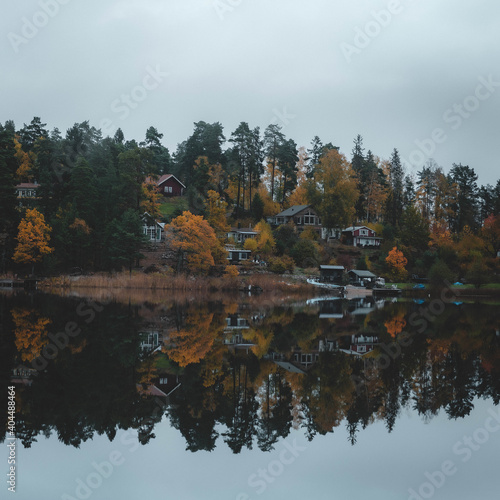 reflection of trees in the lake