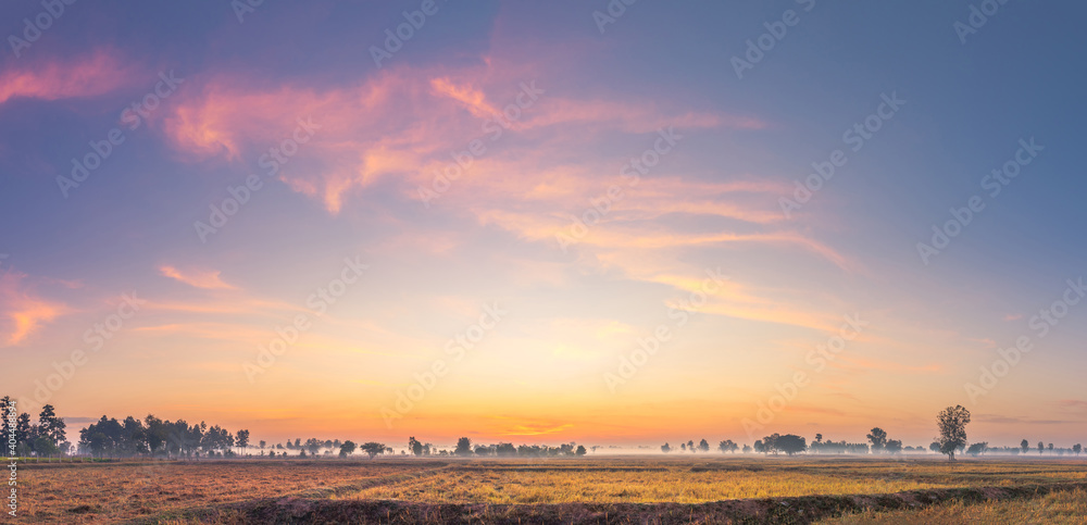Rural landscape the fields at sunrise morning fog and beautiful sky