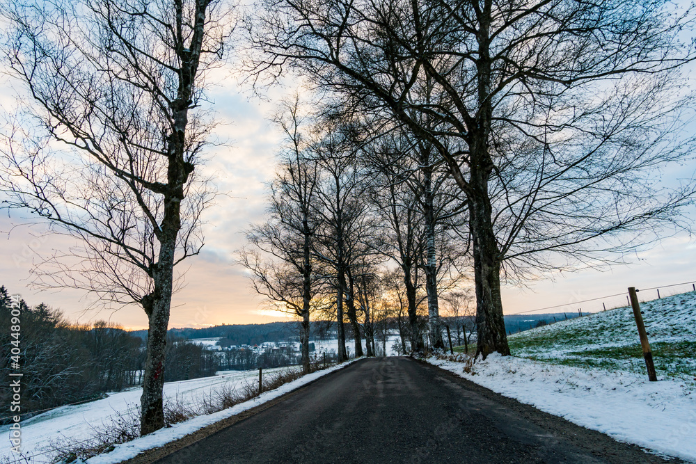 Wonderful winter landscape at sunset at northern Lake Constance Wonderful winter landscape at sunset at northern Lake Constance