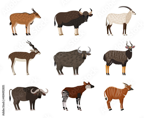African wildlife characters set. Cartoon wild residents of zoo, image of savannah creatures, vector illustration set of animal isolated on white background © ssstocker