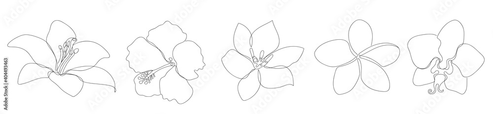 Flowers in a linear style isolated on white. Flowers in a linear style isolated on white.