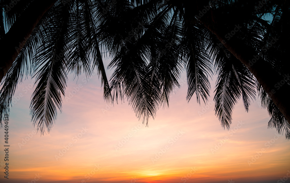 sunset sky on the beach with palm tree for background,Summer and travel concept banner background