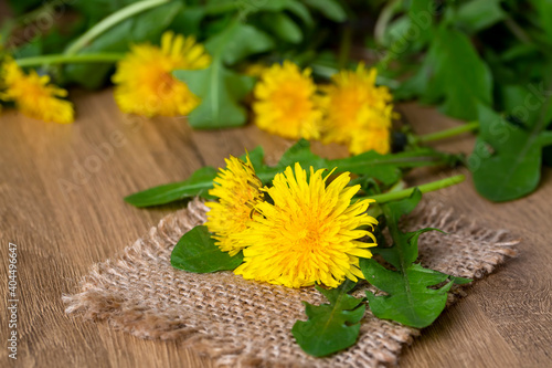Whole dandelion plants with...