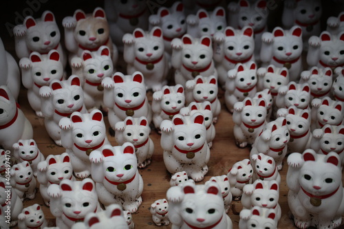 Japan Tokyo Gotukuji template cat shrine