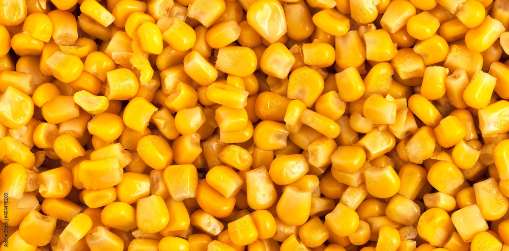 Corn background and texture. Yellow seeds. Panorama. Corn background and texture. Yellow seeds. Panorama.