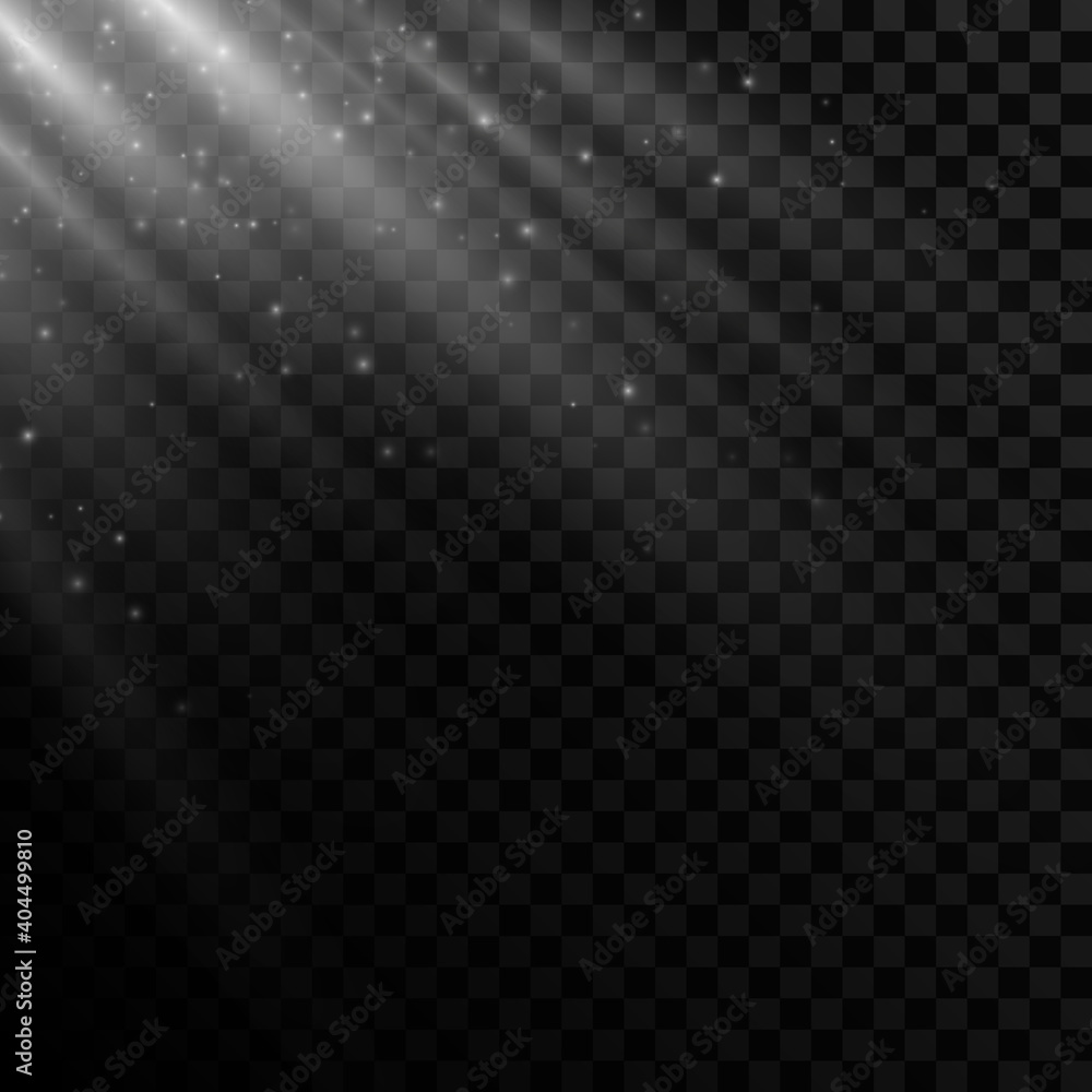 custom made wallpaper toronto digitalBright light effect on a transparent background. Falling rays with flying glowing dust. Soft sunbeams with glare. Vector illustration