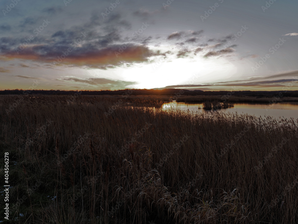 Sunset over the reedbeds on the wetlands at St Aidans Nature reserve Sunset over the reedbeds on the wetlands at St Aidans Nature reserve