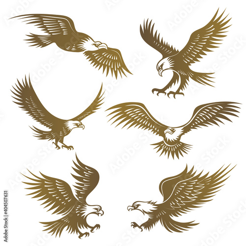 Eagles stylized. Flying wild freedom birds hawk recent vector emblems. Illustration freedom eagle animal logo, emblem wildlife predator mascot