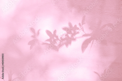 Abstract leaves and light shadow blurred background. Natural leaves tree branch pink shadows and sunlight dappled on white wall texture in garden for background wallpaper design