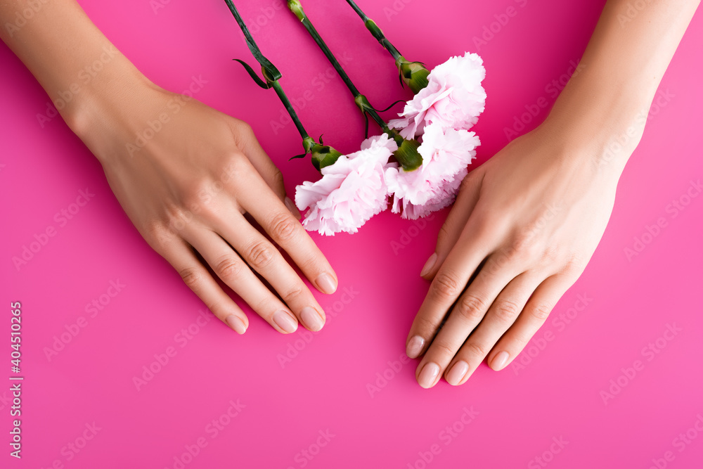 top view of female hands with shiny fingernails and carnation flowers on pink background top view of female hands with shiny fingernails and carnation flowers on pink background