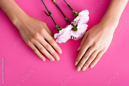 top view of female hands with shiny fingernails and carnation flowers on pink background
