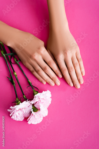 top view of female hands with nails covered with shiny enamel near carnation flowers on pink background