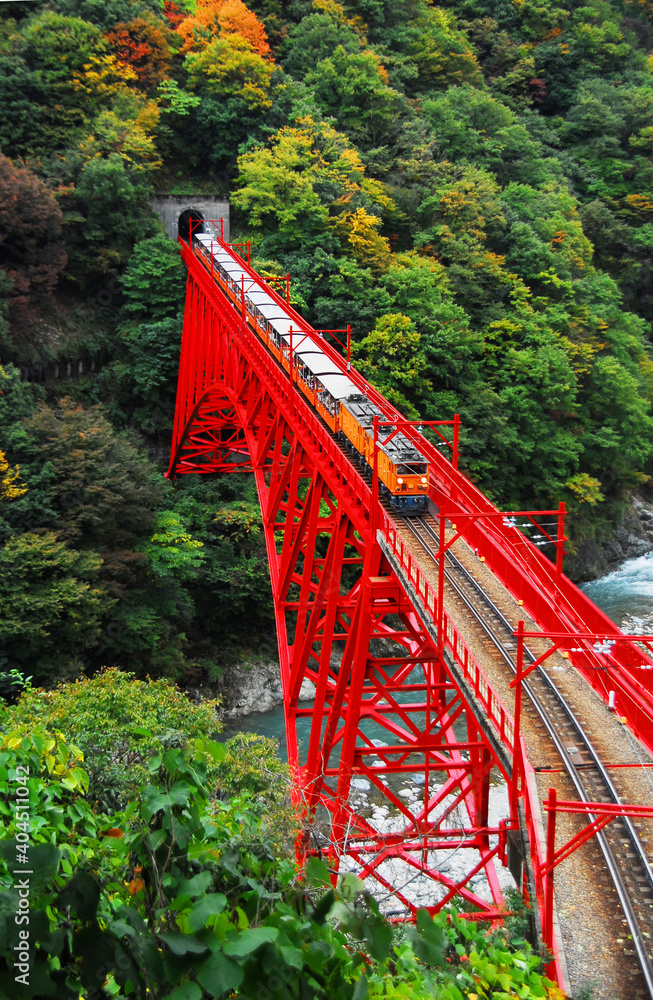 紅葉の黒部峡谷 宇奈月の赤い鉄橋と観光トロッコ列車 Stock Photo Adobe Stock