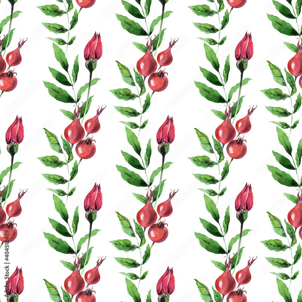 Watercolor seamless pattern with rosehip plant. Leaves, twigs, flowers and buds Watercolor seamless pattern with rosehip plant. Leaves, twigs, flowers and buds