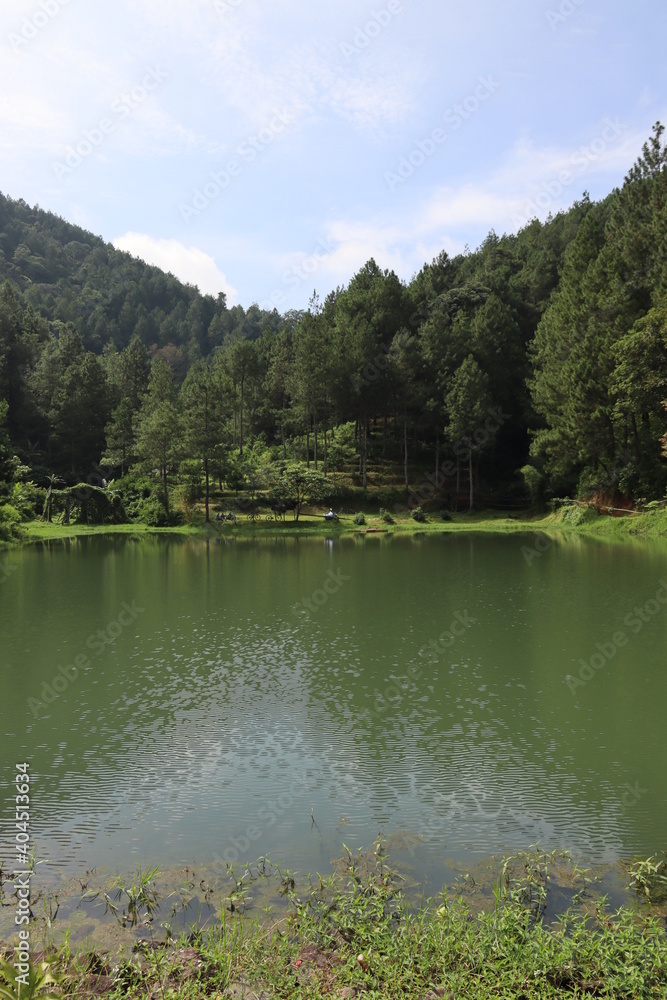 Obraz premium Lake in the forest