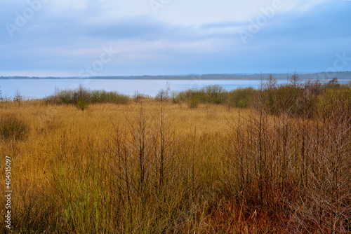 A view of a marsh filled of reeds by a lake. Picture from Lund, southern Sweden