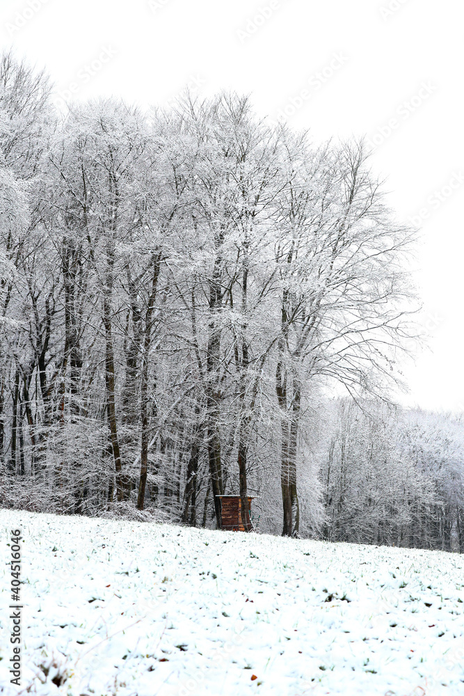 Fototapeta premium Schnee im Wald in Deutschland mit einem Hochsitz zum Jagen