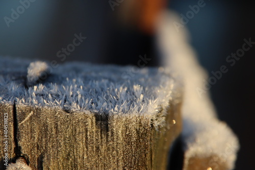 ice needles on objects in the outdoor area photo