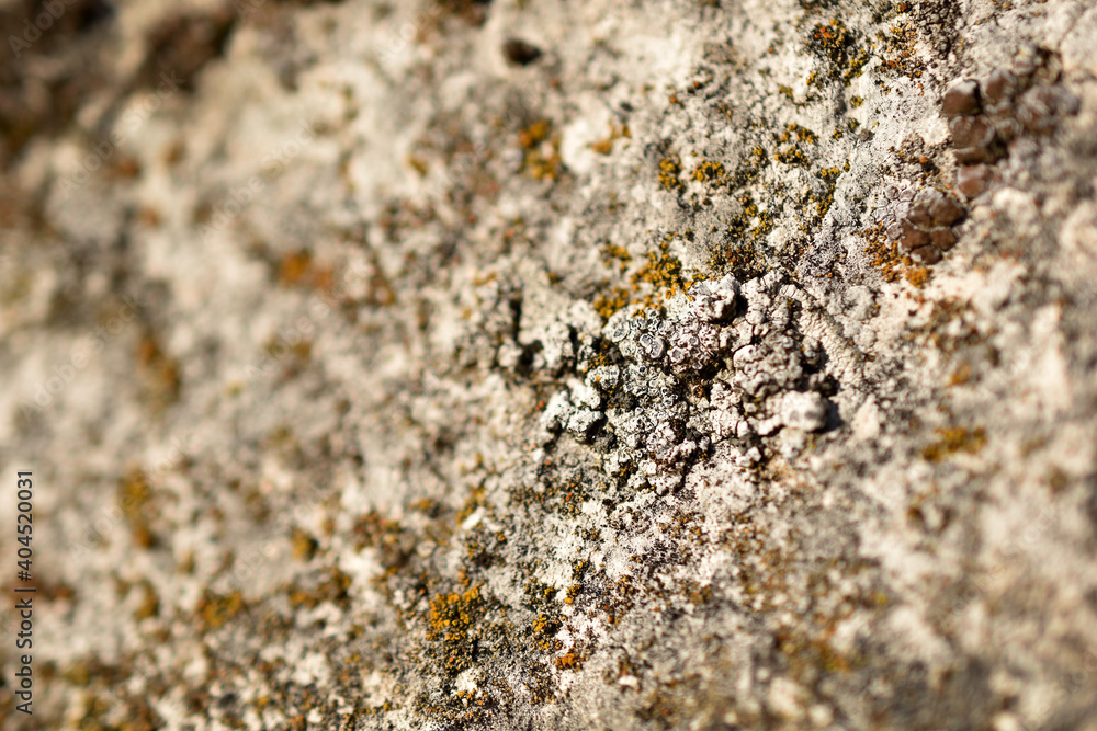 Kalk Felsen mit weißen und schwarzen Flechten als Hintergrund
Kalk Felsen mit weißen und schwarzen Flechten als Hintergrund