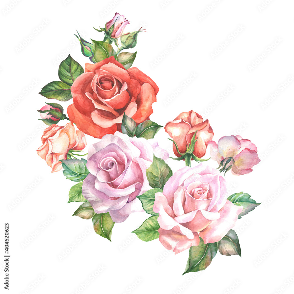 Fototapeta bukiet róż. akwarela kwiaty