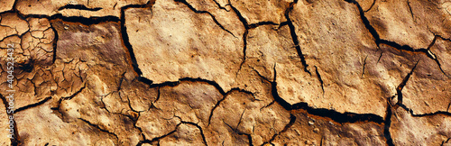 Murais de parede Background and texture of cracked dry earth. Panorama.