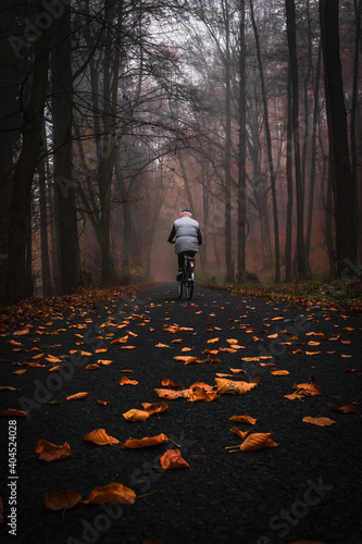 a woman biker riding a road in the forrest covered with leaves during autumn 