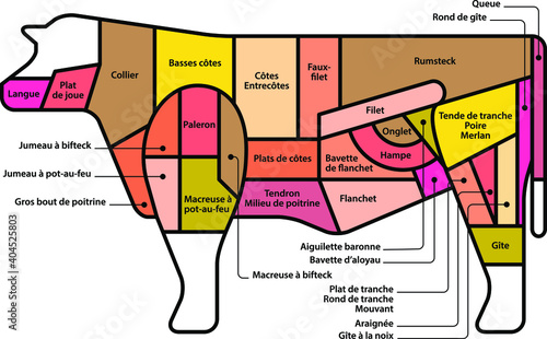 Diagram: cuts of beef. French. photo