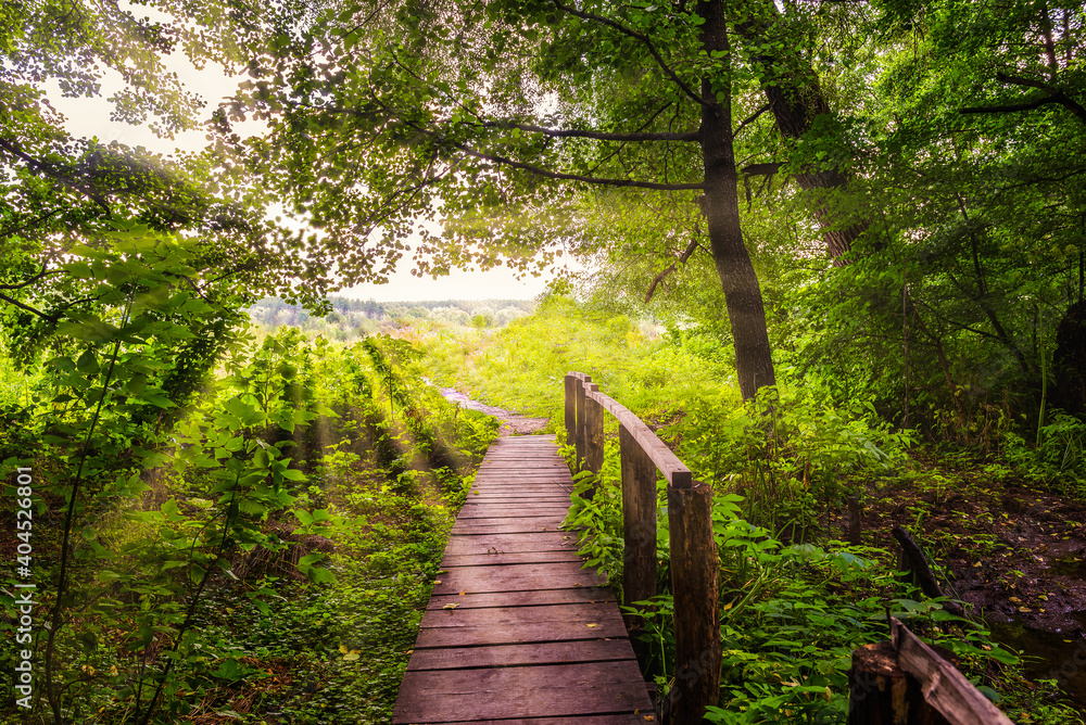 Bridge and sunbeams