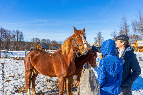 Fototapeta Naklejka Na Ścianę i Meble -  Man and teenage girl with horse at ranch in winter sunny day. Father and daughter spending winter weekend at farm. Trip to countryside, healthy lifestyle, active leisure, authentic moments