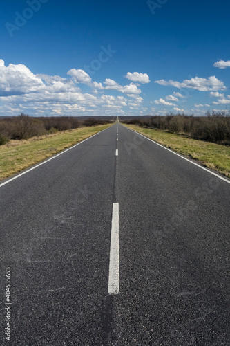 Route in the Pampas plain, Patagonia, Argentina © foto4440