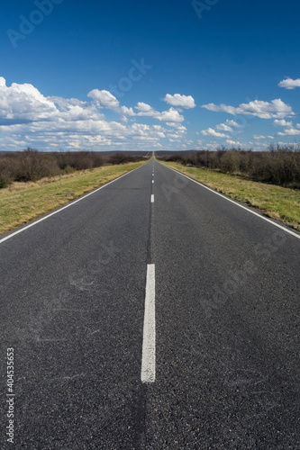 Route in the Pampas plain, Patagonia, Argentina